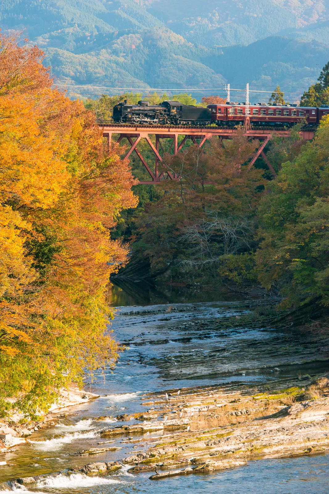 f0229311_20524738.jpg