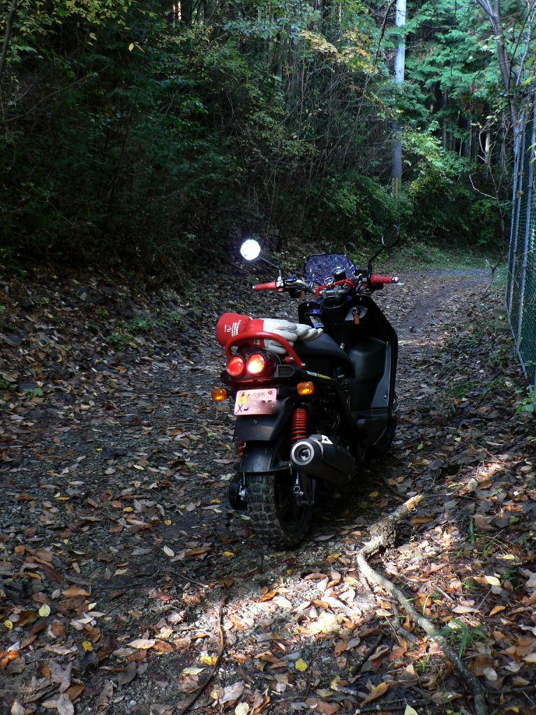 c0001613_17254895.jpg