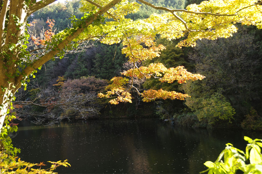 f0206417_2183687.jpg