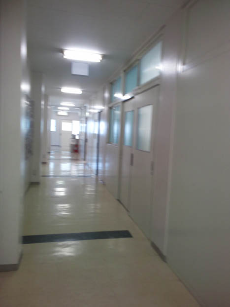 c0083518_1848082.jpg