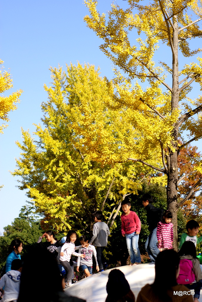 a0240721_21531494.jpg