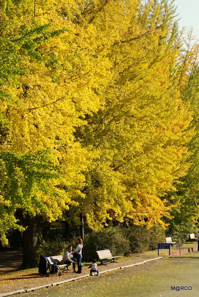 a0240721_2158723.jpg