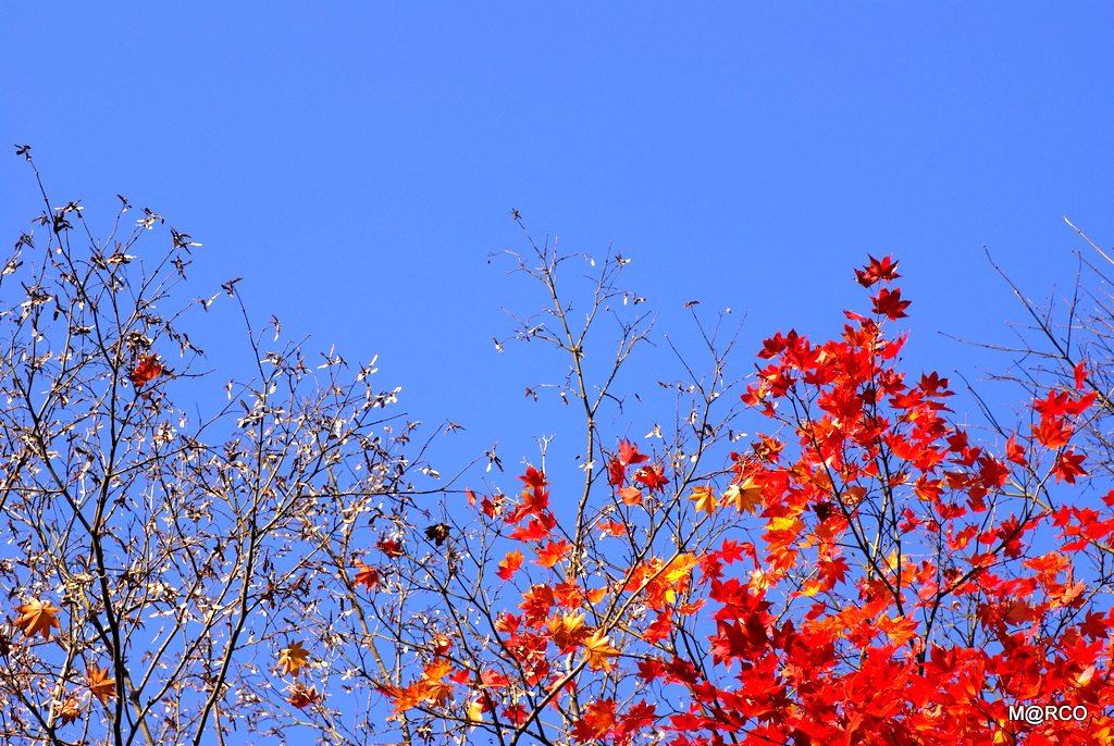 a0240721_22143100.jpg