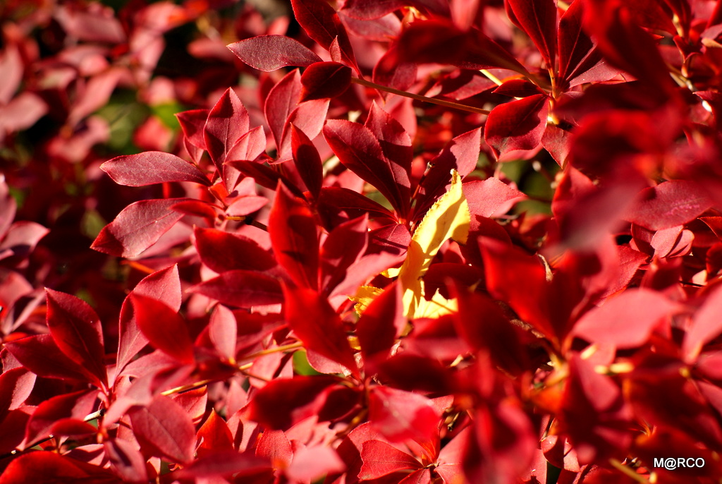 a0240721_222111.jpg
