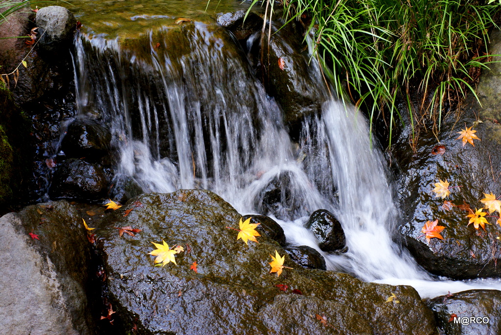 a0240721_2231777.jpg