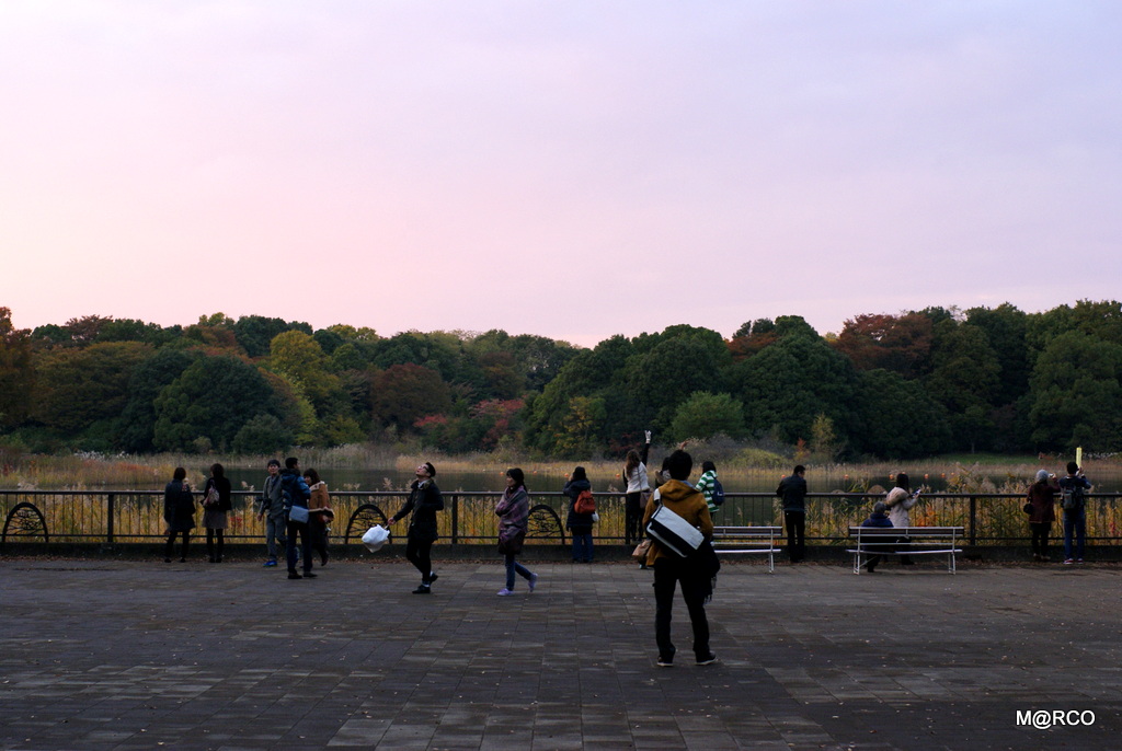 a0240721_2275680.jpg