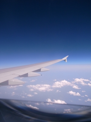 d0098022_2348335.jpg