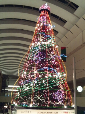 f0106823_1081778.jpg