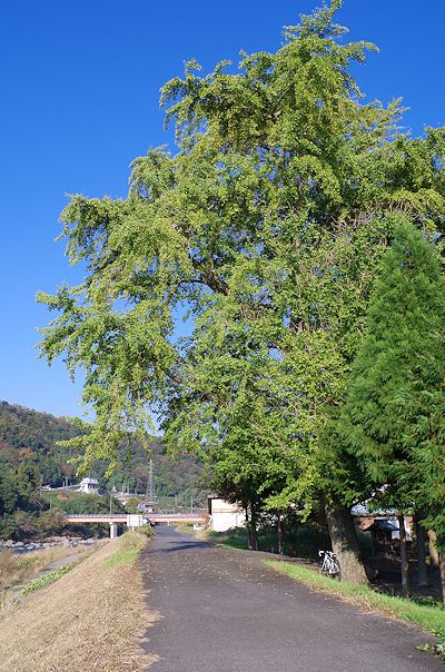 f0007926_14431392.jpg