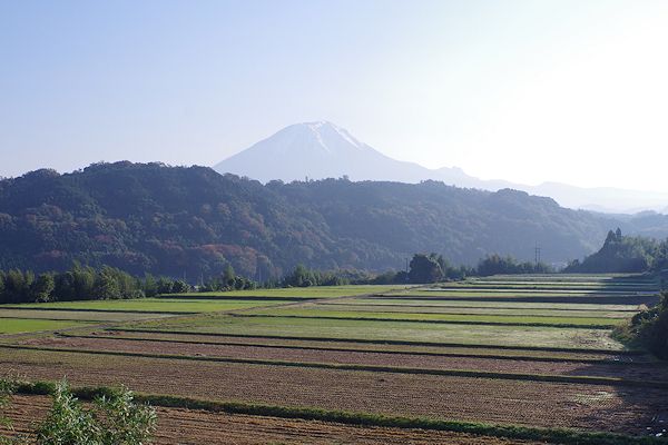 f0007926_14435859.jpg