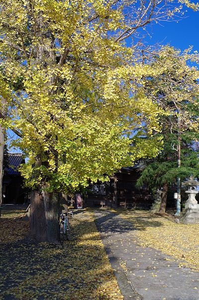 f0007926_14441730.jpg