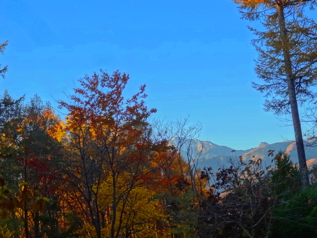e0016828_1147274.jpg