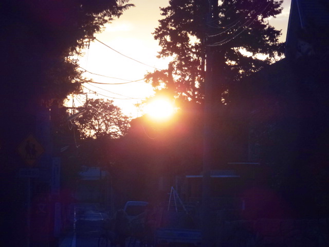 e0016828_11492477.jpg