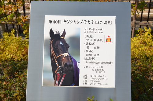 f0124830_11305314.jpg