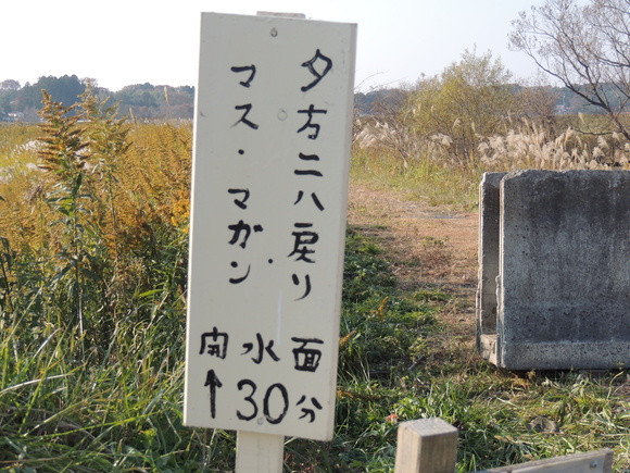 f0118332_22182245.jpg