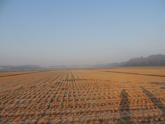 f0118332_2282426.jpg