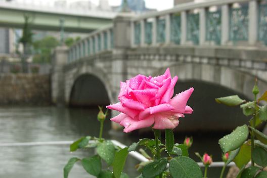 c0032138_9234924.jpg
