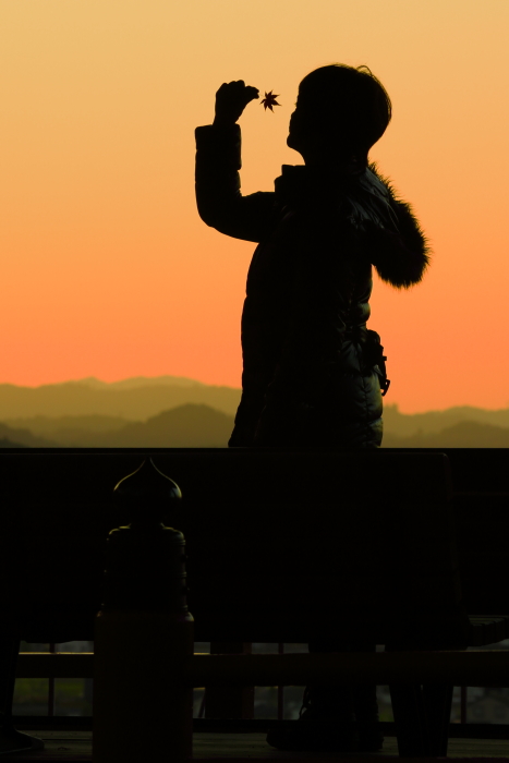 c0253439_831198.jpg