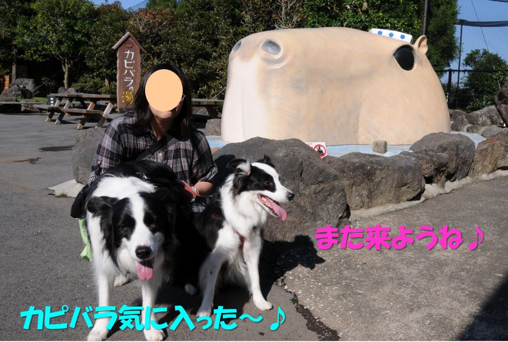 c0147241_175039.jpg