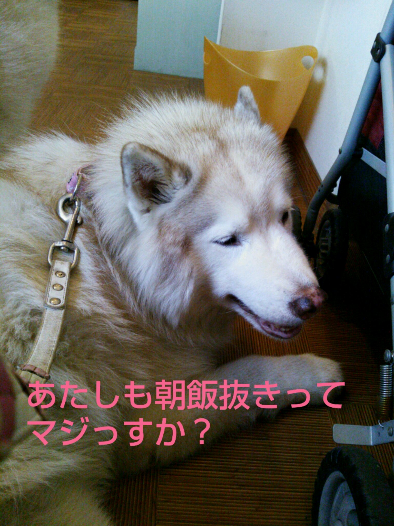 e0121548_12445088.jpg