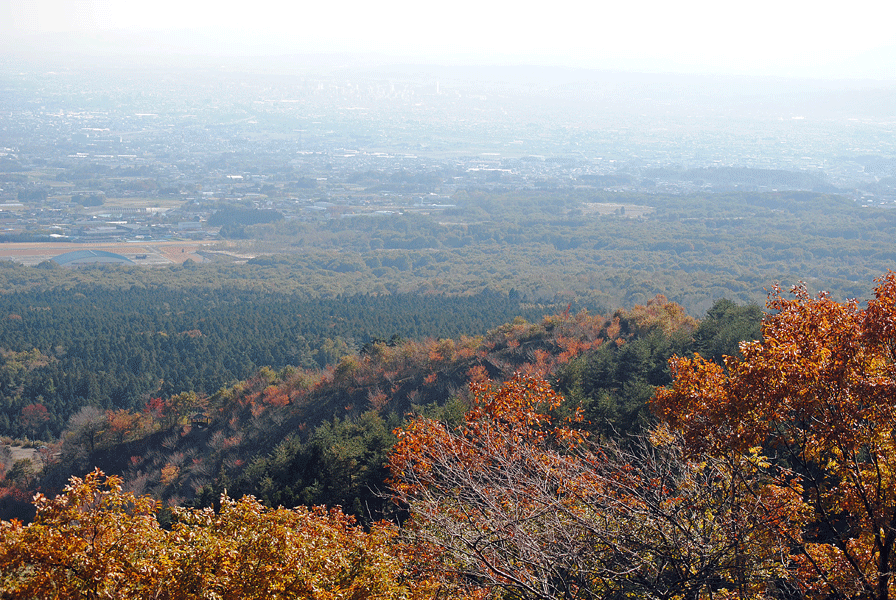 a0001354_225415.gif
