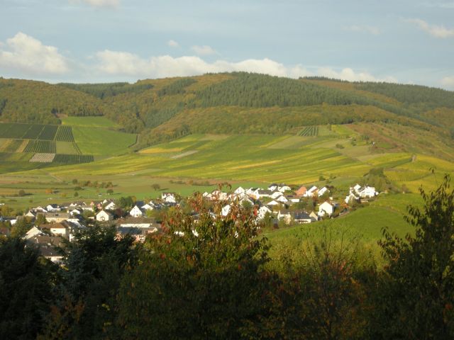 a0089754_2304340.jpg