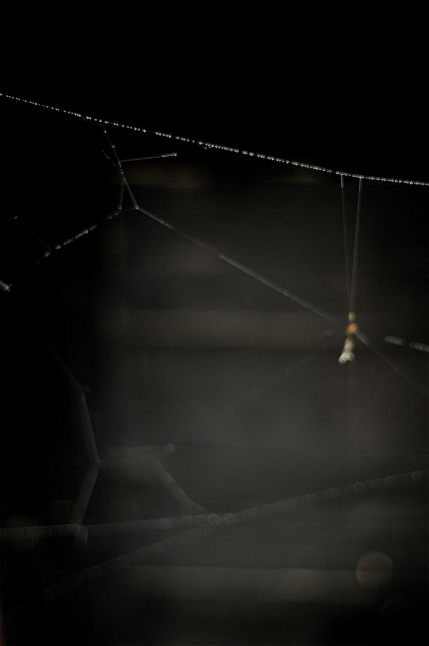 b0168859_2136869.jpg
