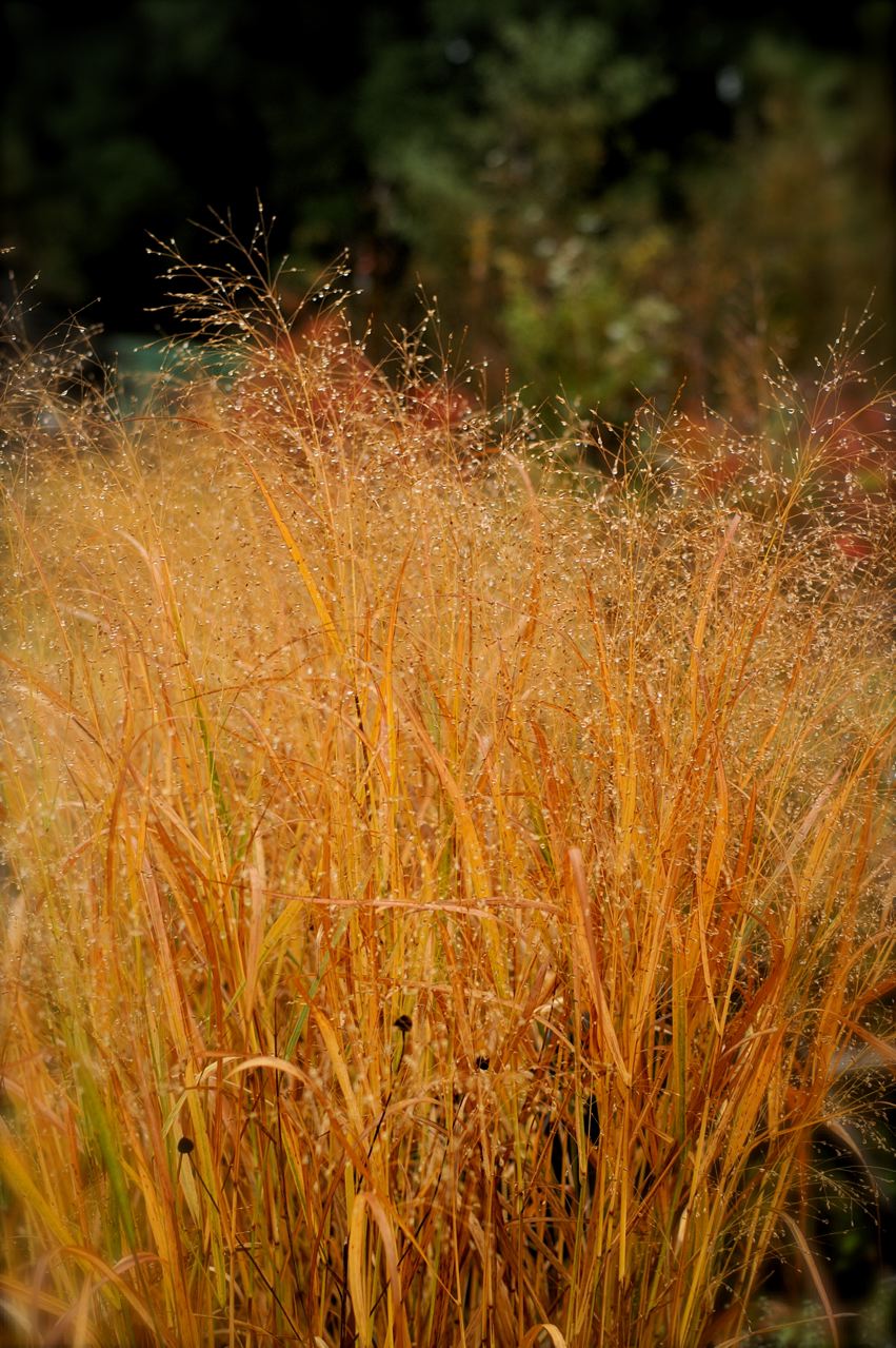 b0168859_21481287.jpg