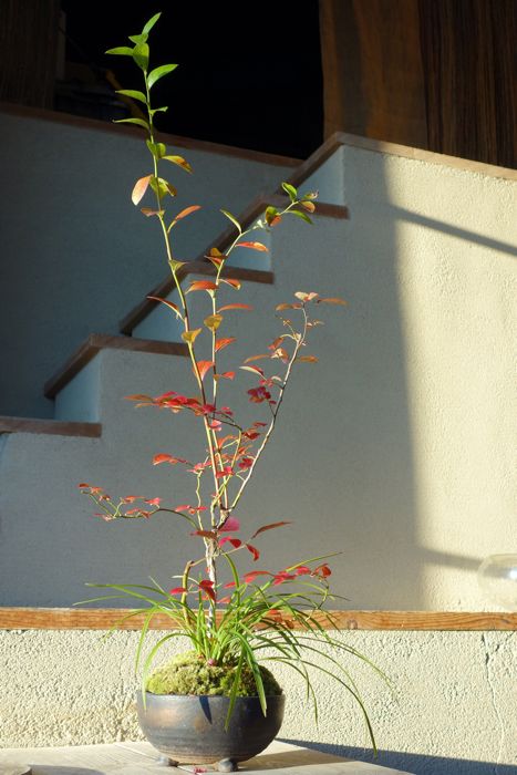 c0153259_12445494.jpg
