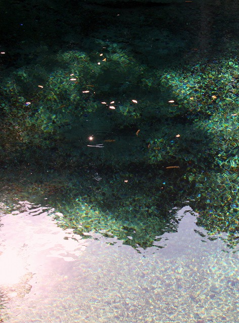 d0244960_12263387.jpg