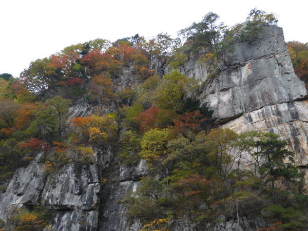 b0282061_1623325.jpg