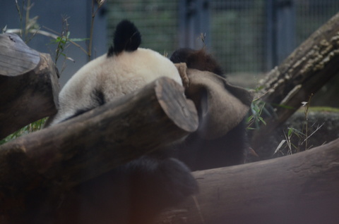 b0286966_2130879.jpg