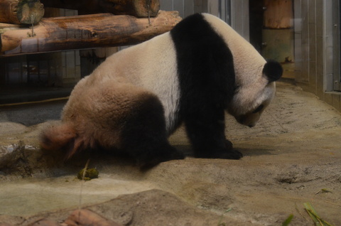 b0286966_224158.jpg