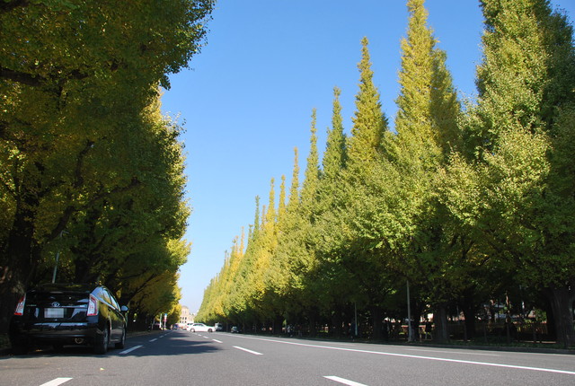 b0174068_2154129.jpg