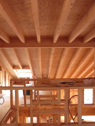 c0166668_710387.jpg