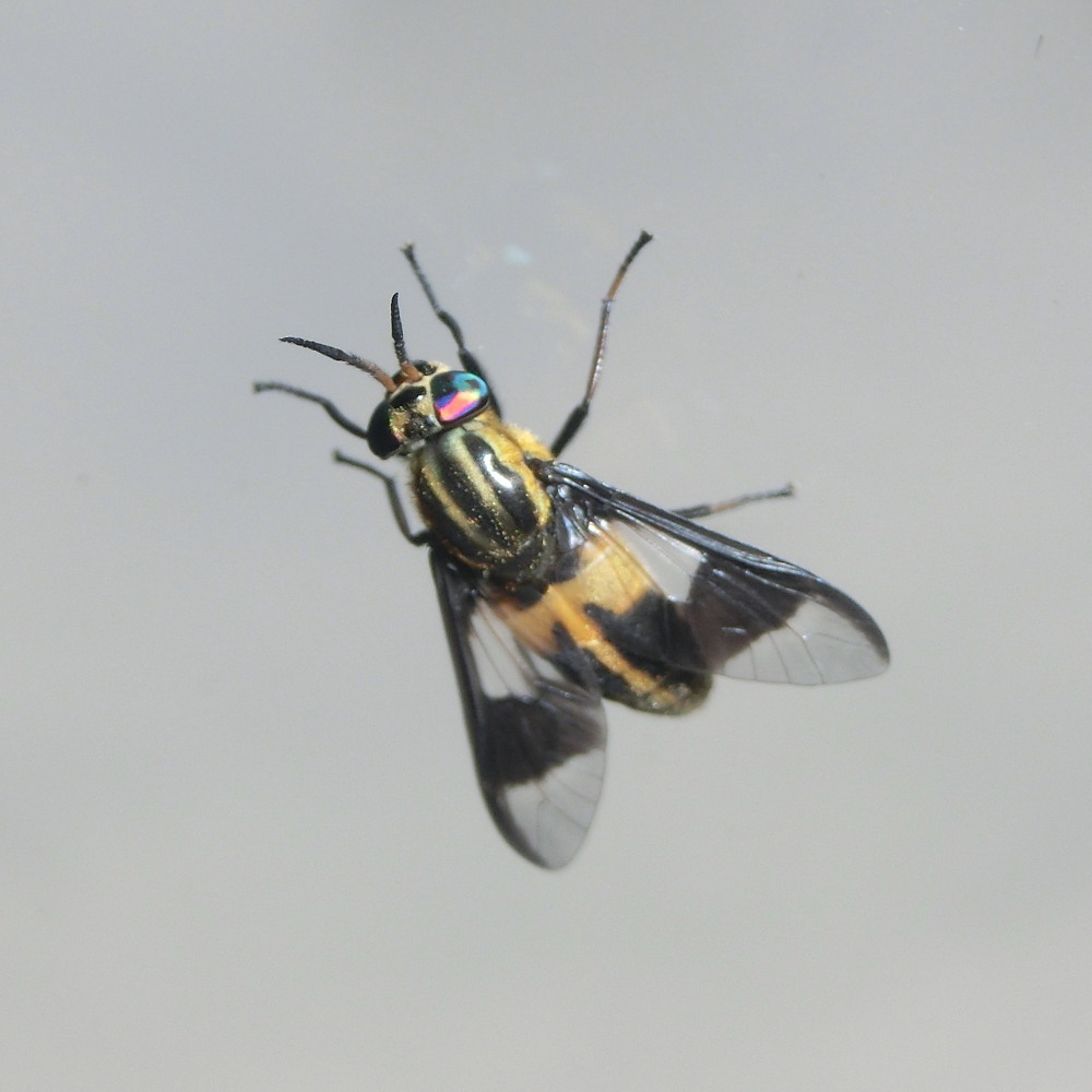 a0146869_2149115.jpg
