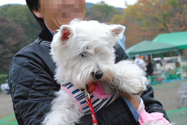 b0242873_20135466.png