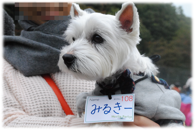 b0242873_20152334.png