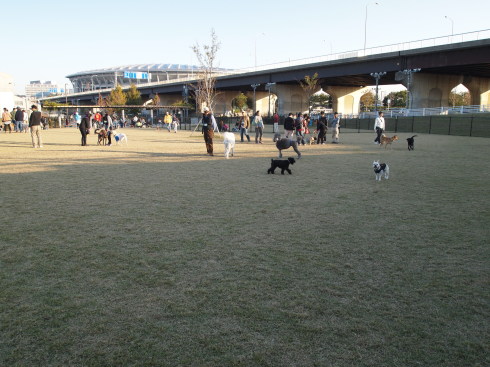 f0310873_19422926.jpg