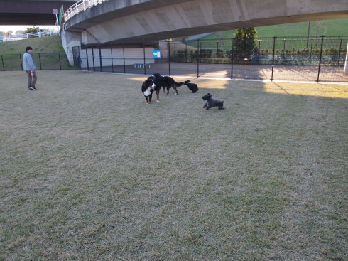 f0310873_19423609.jpg