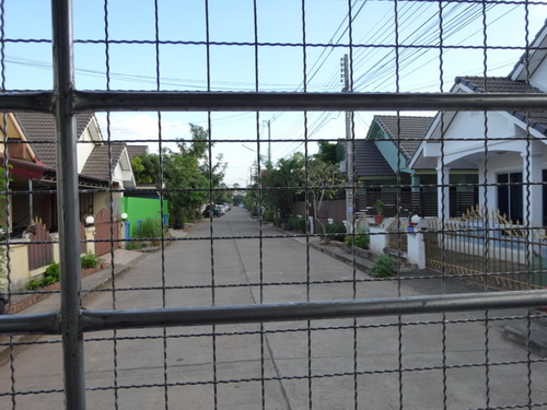 a0002177_14173779.jpg