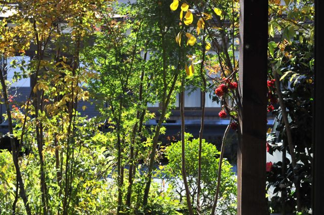 f0160480_2116141.jpg