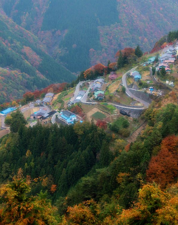 e0243382_15412222.jpg