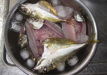 f0003283_14590286.jpg