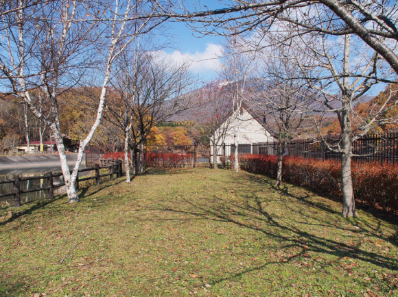 d0244687_21481194.jpg