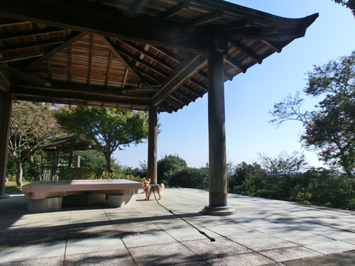 e0123587_16221284.jpg