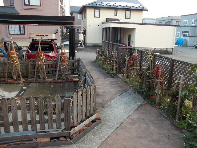 a0007388_1655619.jpg