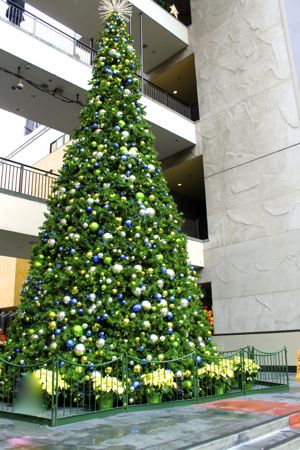 f0245389_16464967.jpg