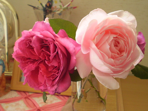 a0135990_21535697.jpg