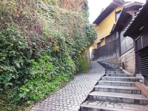 a0230192_99628.jpg